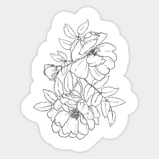 Midsummer Roses Sticker